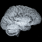 Glass Brain