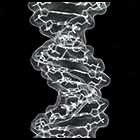 DNA