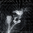 Laniakea